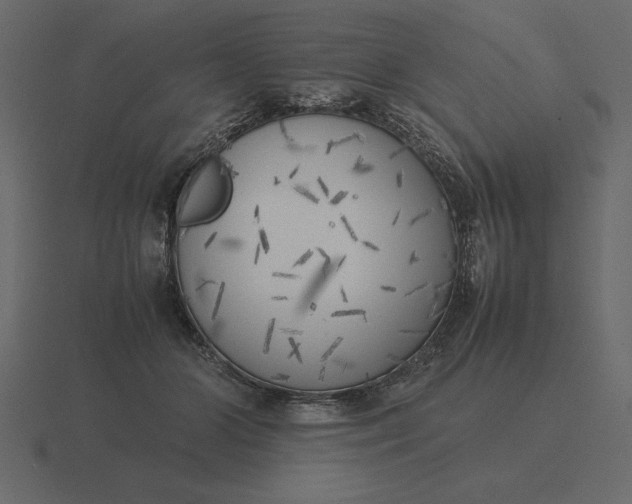 X0000116620510200912241755