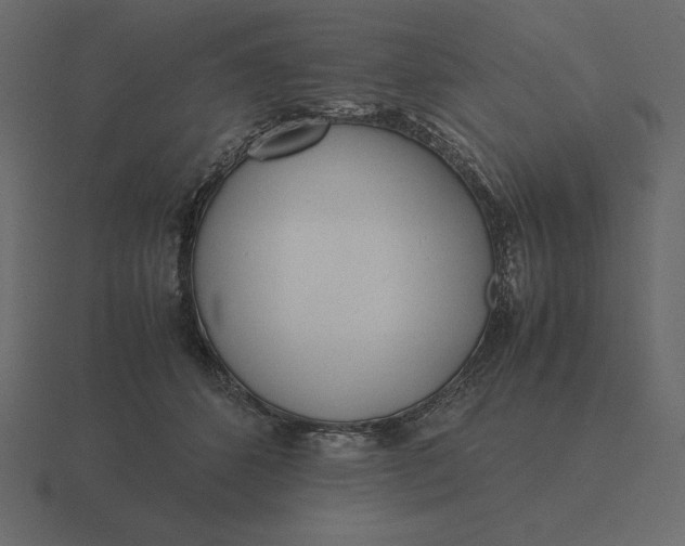 X0000116620512200912241755