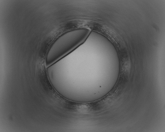 X0000116620513200912241755