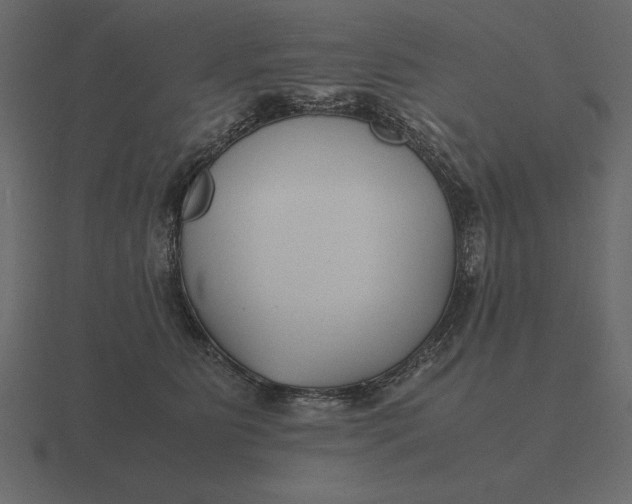 X0000116620515200912241755