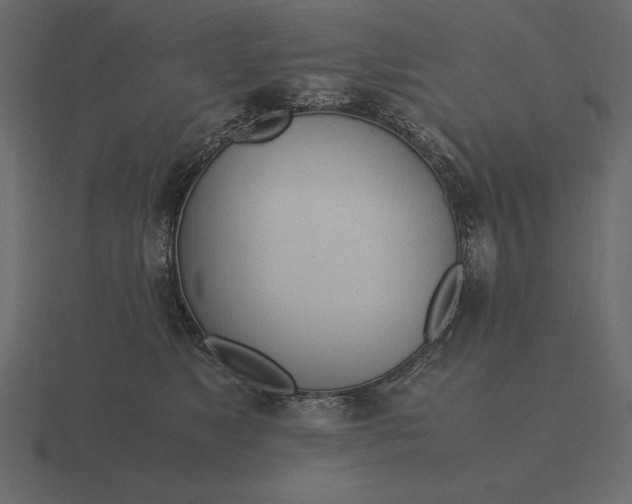 X0000116620517200912241755