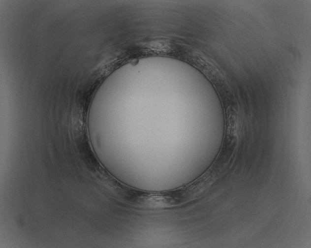 X0000116620518200912241755