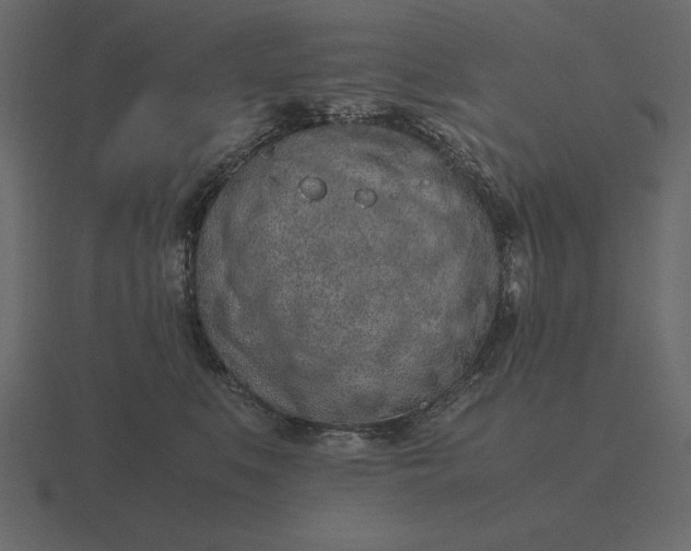 X0000116620519200912241755