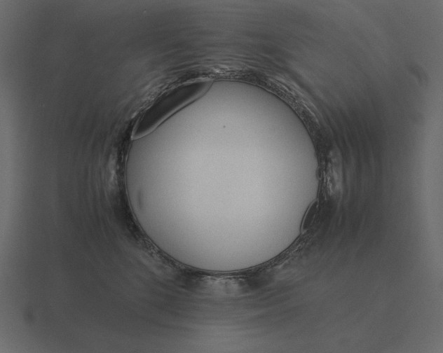 X0000116620520200912241755