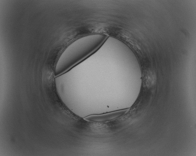 X0000116620521200912241755