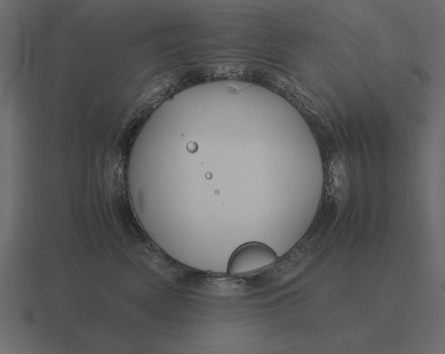 X0000116620522200912241755