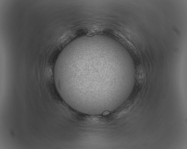 X0000116620523200912241755