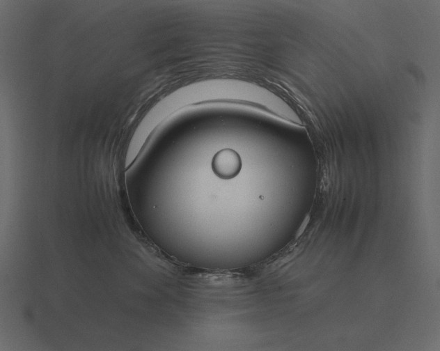 X0000116620524200912241755