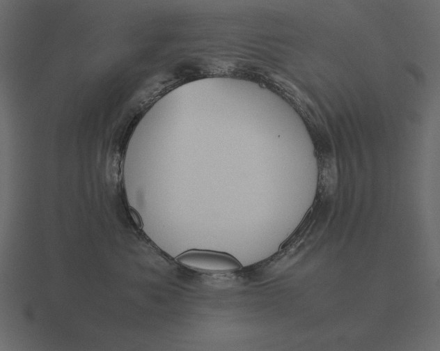 X0000116620525200912241755