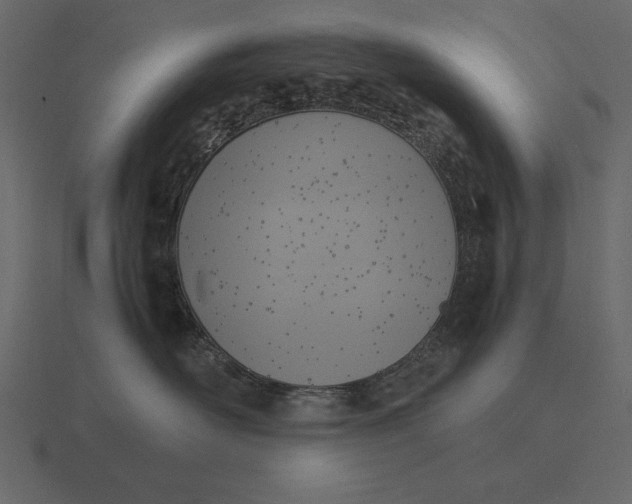 X0000116620526200912241755