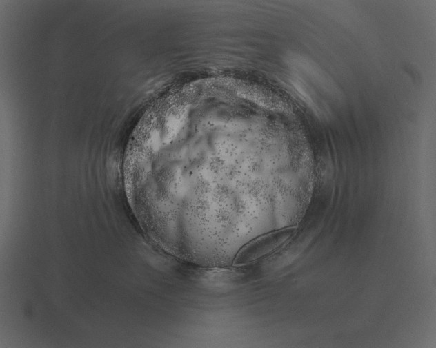 X0000116620527200912241755