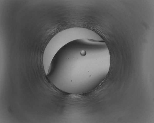 X0000116620528200912241755