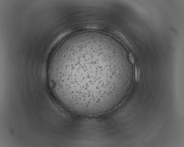 X0000116620531200912241755