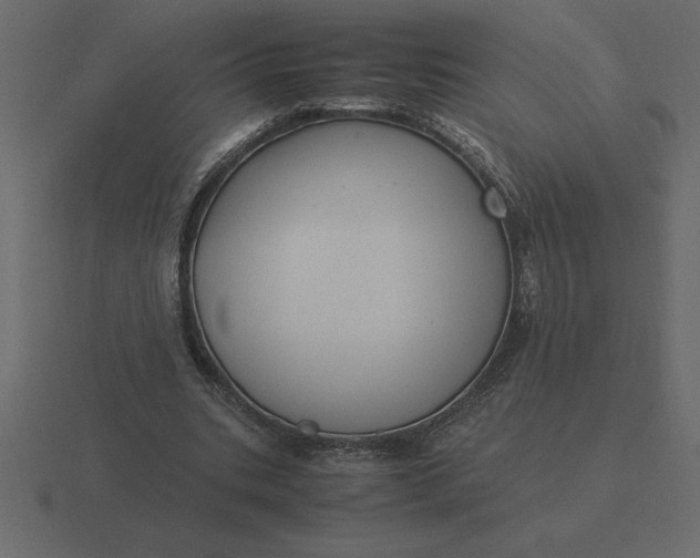 X0000116620535200912241755