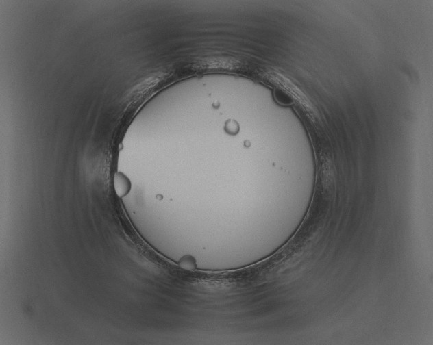 X0000116620537200912241755