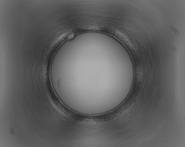 X0000116620538200912241755