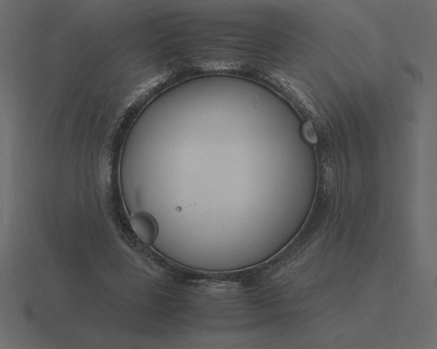 X0000116620539200912241755