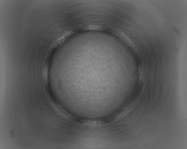 X0000116620542200912241755