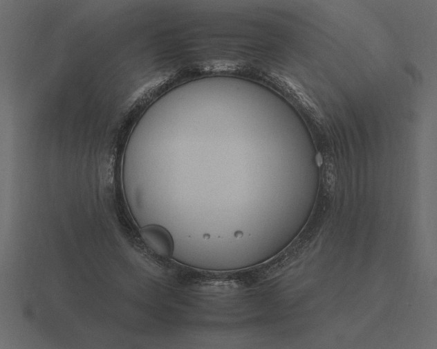 X0000116620543200912241755