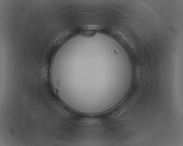 X0000116620545200912241755