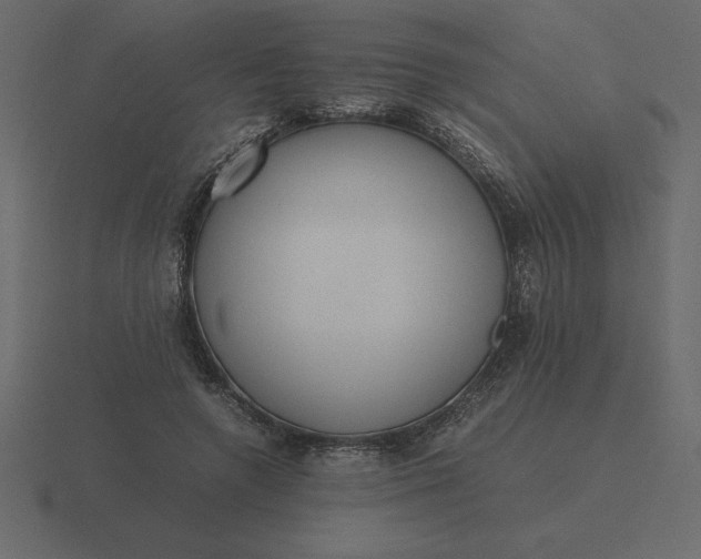 X0000116620546200912241755