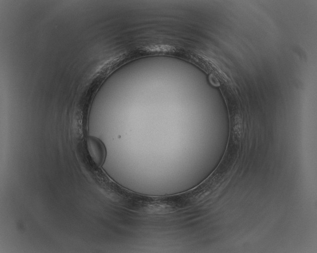 X0000116620547200912241755