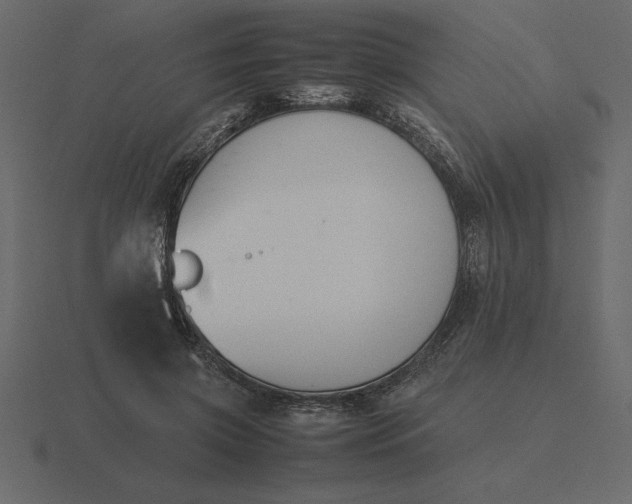 X0000116620549200912241755