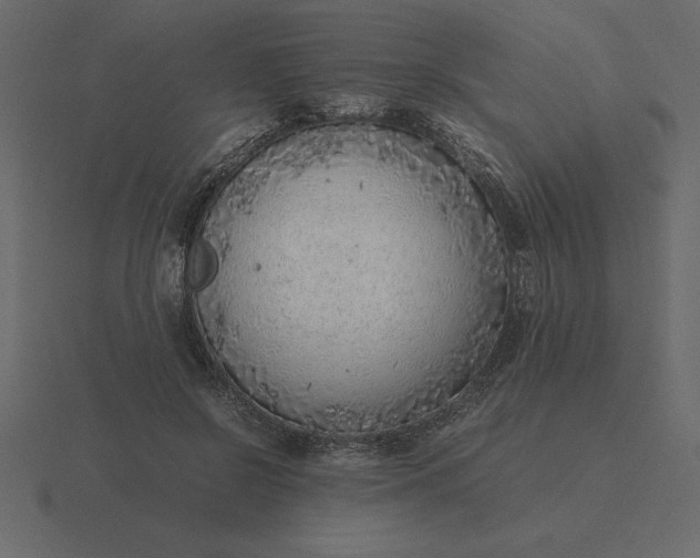 X0000116620550200912241755