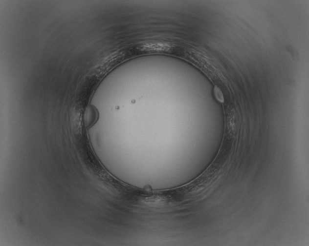 X0000116620551200912241755