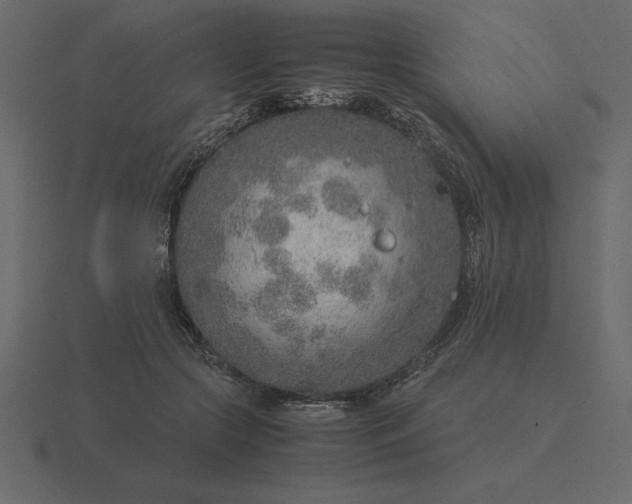 X0000116620553200912241755