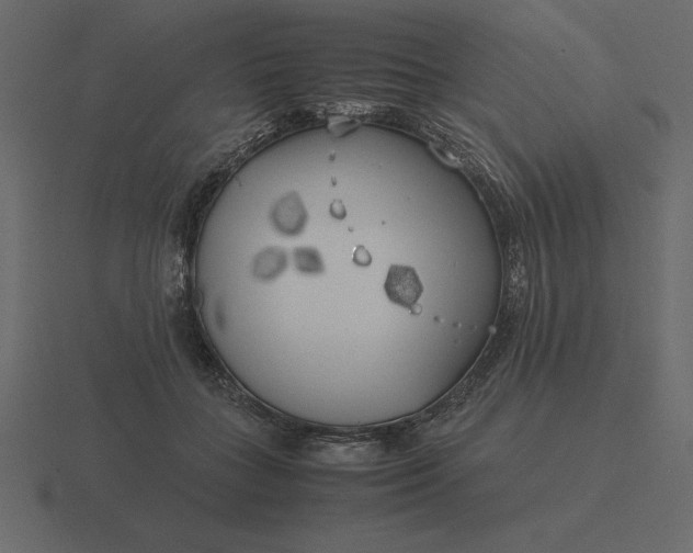 X0000116620555200912241755