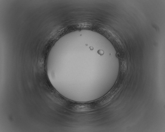 X0000116620557200912241755