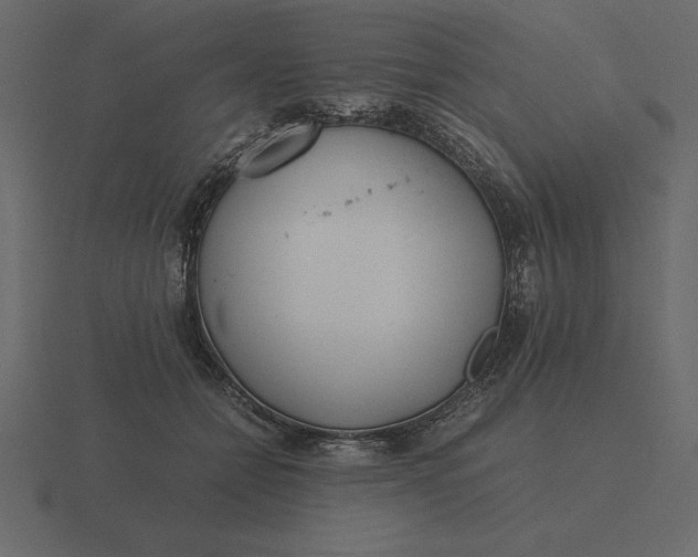 X0000116620558200912241755