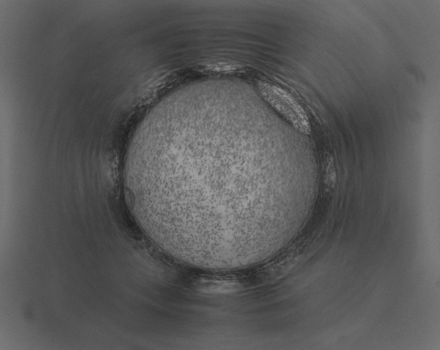 X0000116620559200912241755