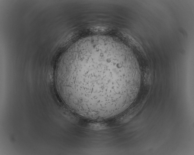 X0000116620561200912241755