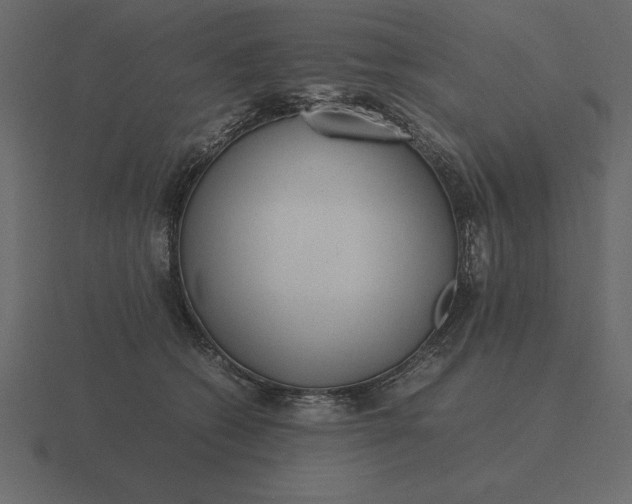 X0000116620562200912241755