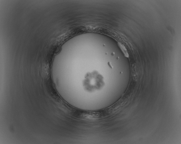 X0000116620563200912241755