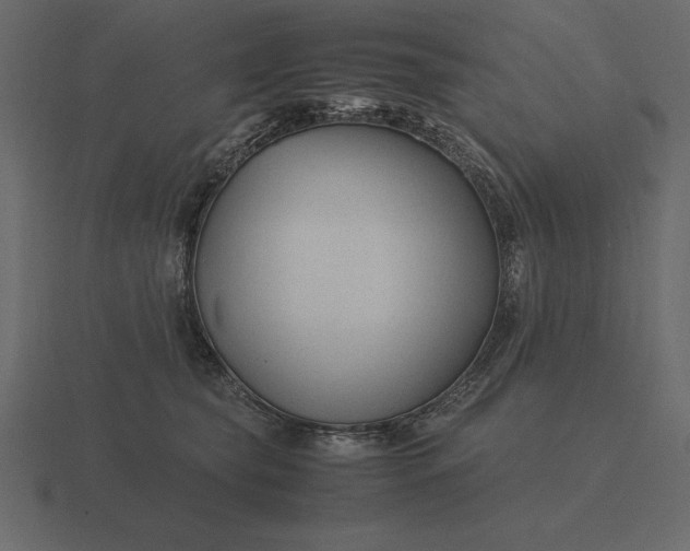 X0000116620565200912241755