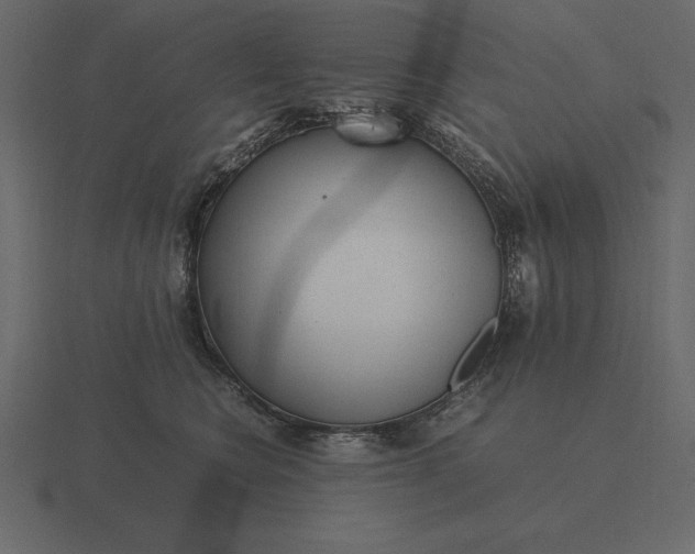 X0000116620566200912241755