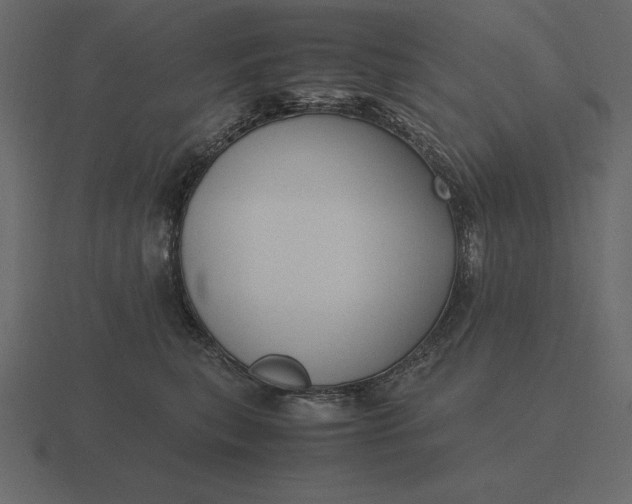 X0000116620567200912241755