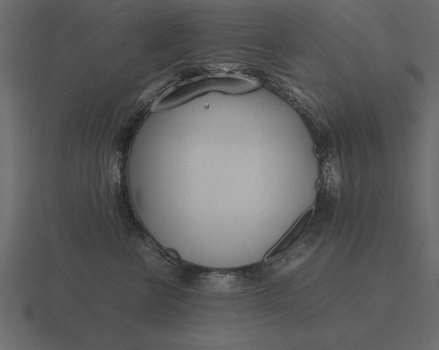 X0000116620570200912241755