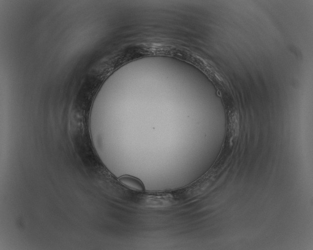 X0000116620571200912241755