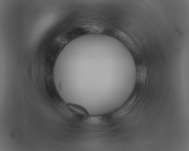 X0000116620573200912241755