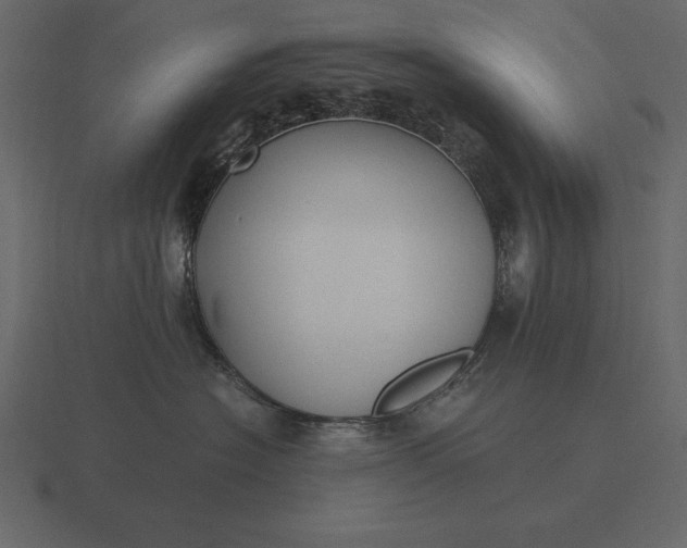 X0000116620574200912241755