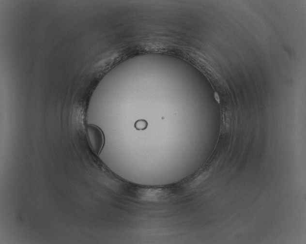 X0000116620575200912241755