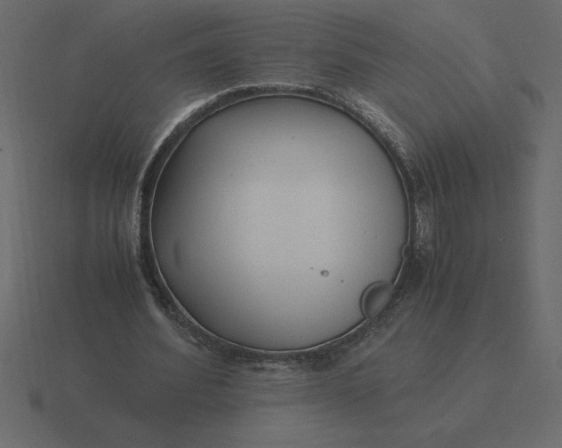 X0000116620580200912241755