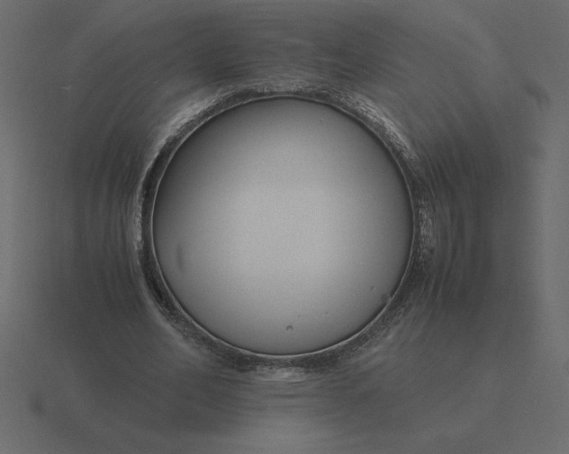 X0000116620582200912241754