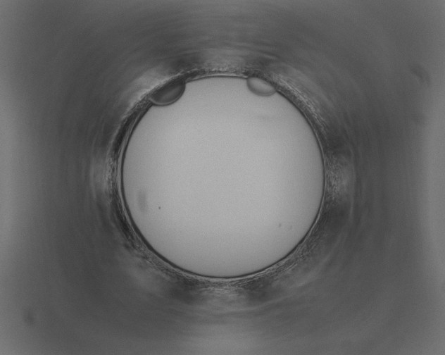 X0000116620583200912241754