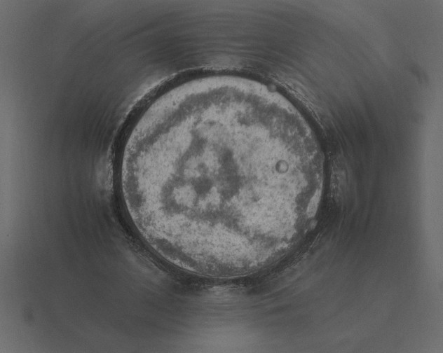 X0000116620584200912241754