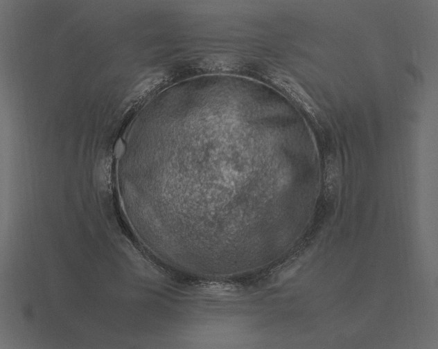 X0000116620585200912241754